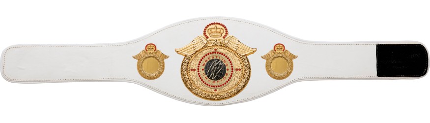 WRESTLING CHAMPIONSHIP BELT-PROWING/G/WRESTGEMG-6+ COLOURS